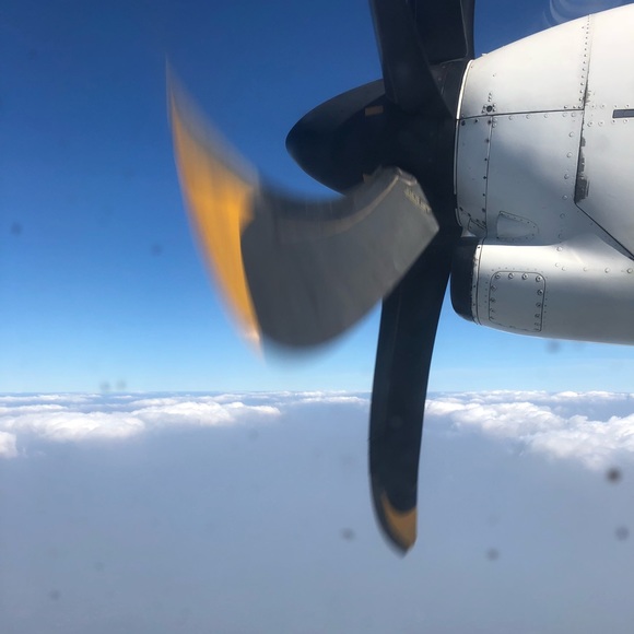 Meet your Posher, Lakshmi - Picture 1 of 1